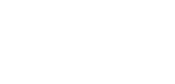 DSV